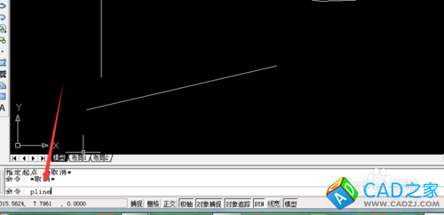 cad2006應(yīng)用：[1]直線的畫法