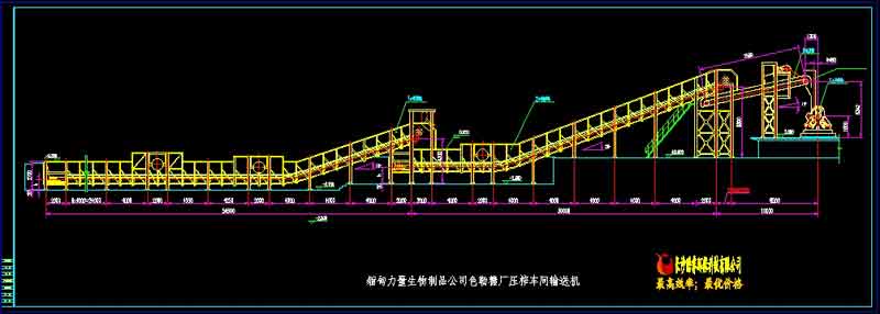 甘蔗糖廠輸蔗機(jī)整條生產(chǎn)線總圖